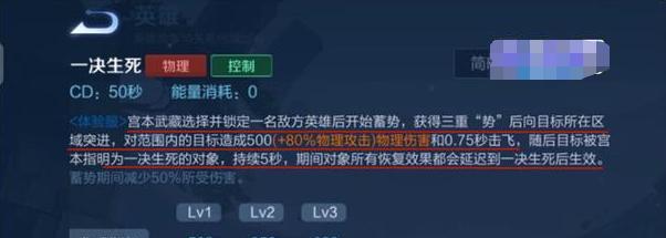2024宮本武藏出裝攻略（全新版本，讓你更輕松戰勝敵人！）-第1張圖片